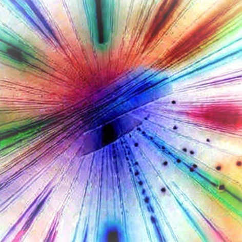 The Shared Link That Exposed the Crypto Soul