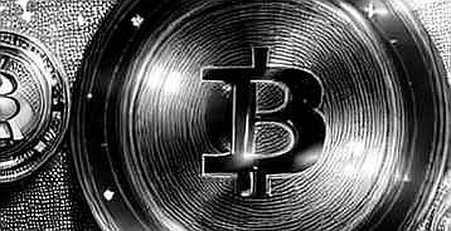 The Empty Ledger: When Analysis Finds Nothing, the Red Flags Speak